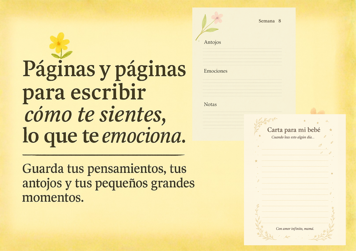 ¡Ay, mi pancita! – Recuerdos de una Mami Real